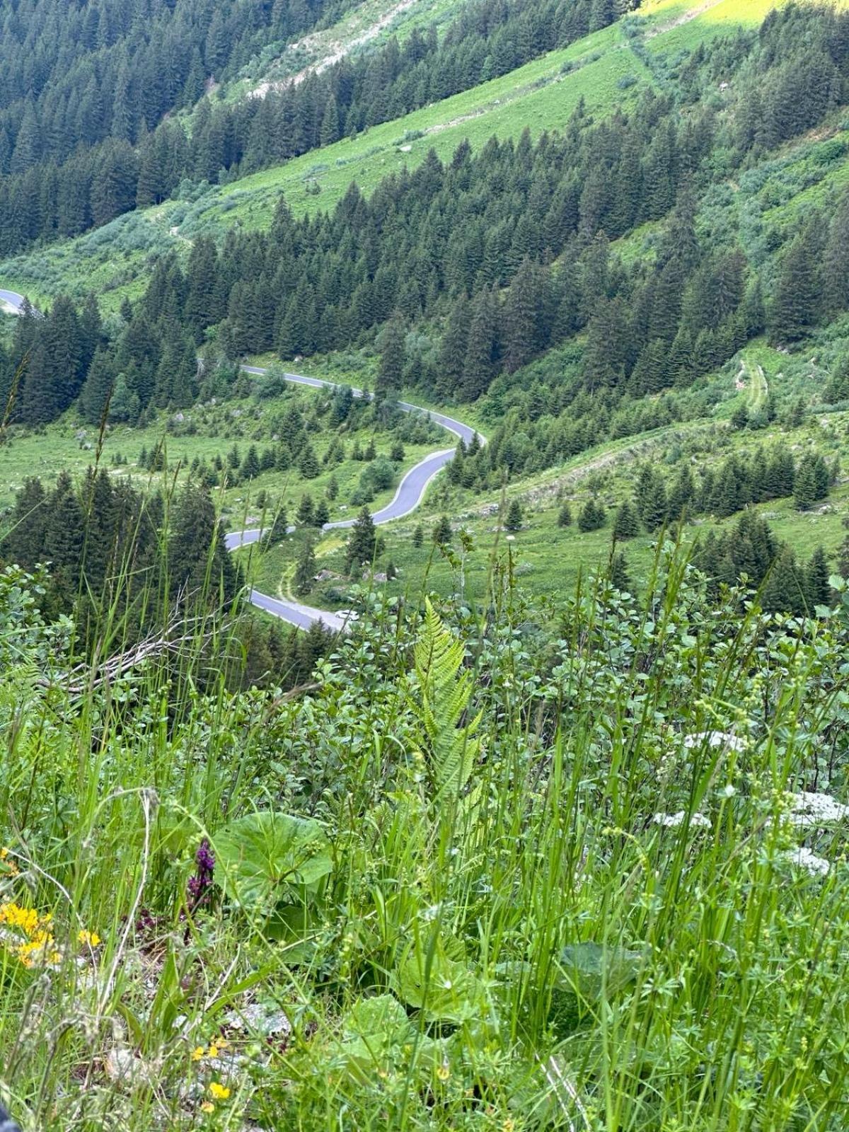 Apart Alpenpension Maderer Gaschurn Extérieur photo